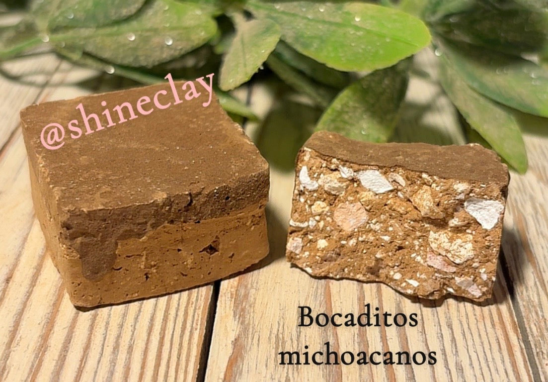 Bocaditos Michoacanos