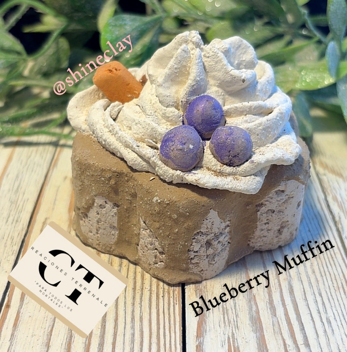 Blueberry Muffin