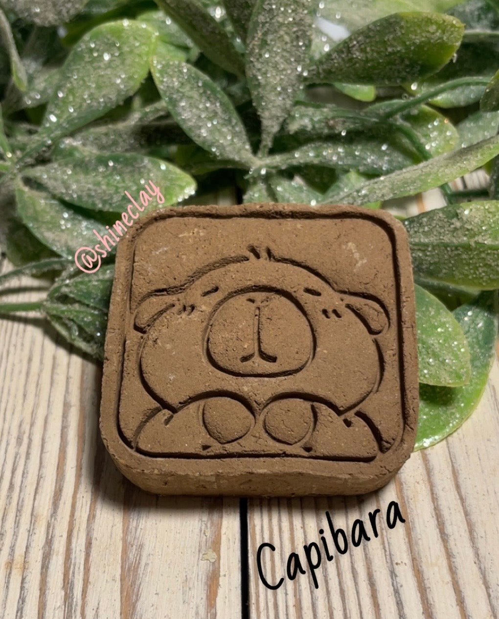 Capibara